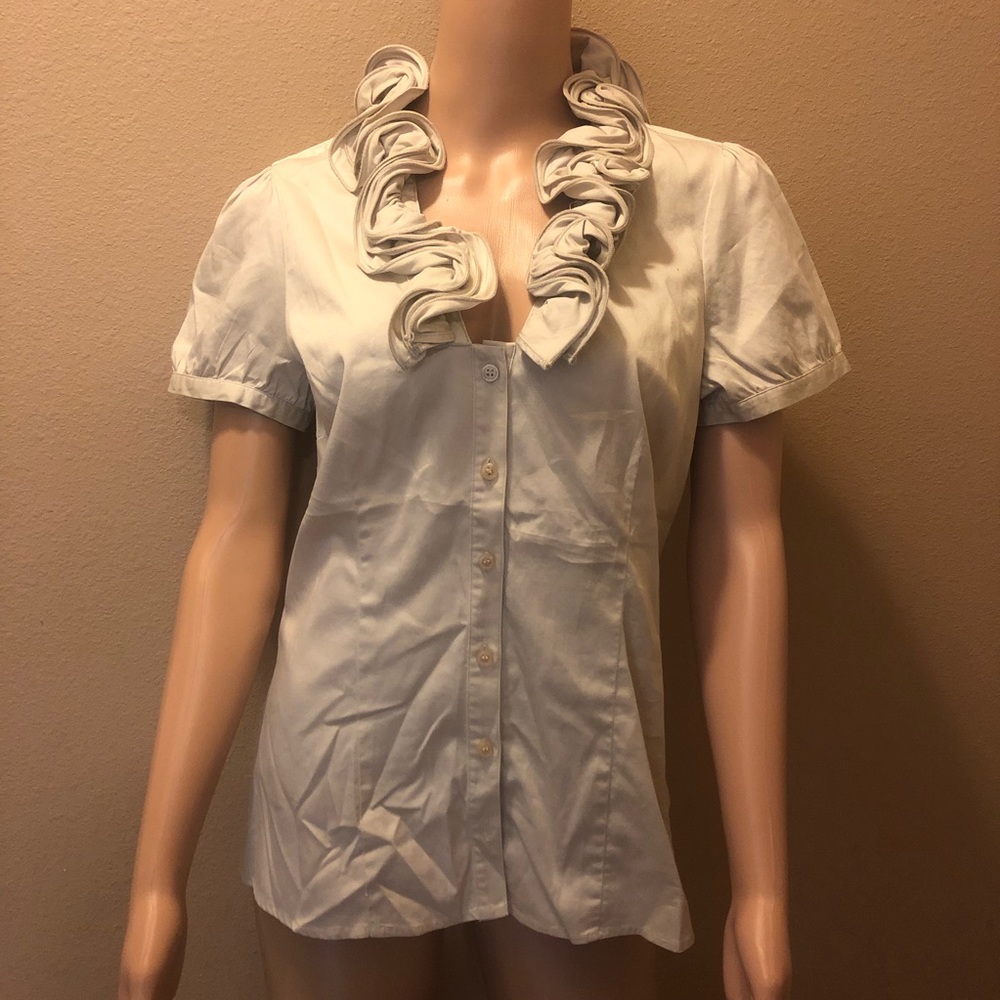 the limited button down